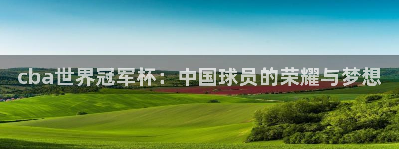 cba世界冠军杯：中国球员的荣耀与梦