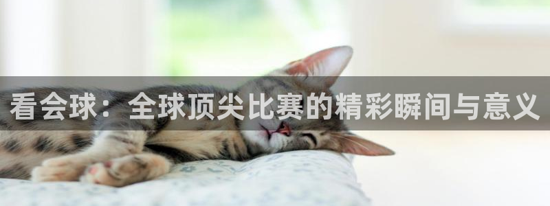 看会球：全球顶尖比赛的精彩瞬间与意义