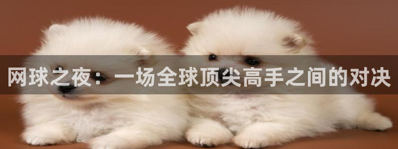 网球之夜：一场全球顶尖高手之间的对决