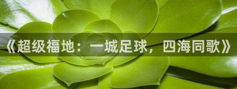 《超级福地：一城足球，四海同歌》