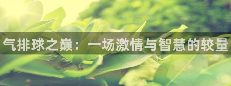 气排球之巅：一场激情与智慧的较量