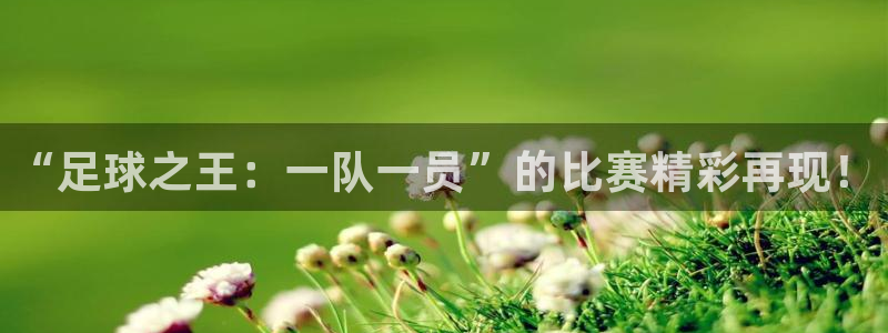  “足球之王：一队一员”的比赛精彩再现！