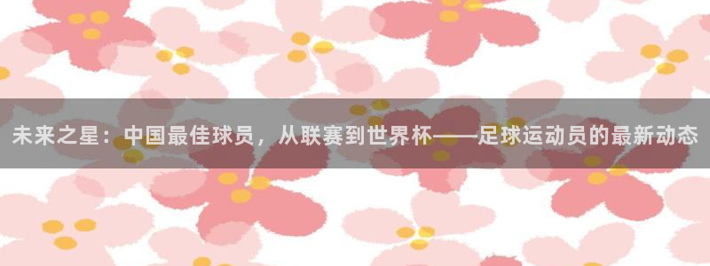  星空体育入口官网：未来之星：中国最佳球员，从联赛到世界杯——