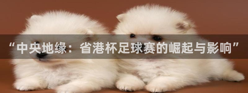 星体体育：“中央地缘：省港杯足球赛的