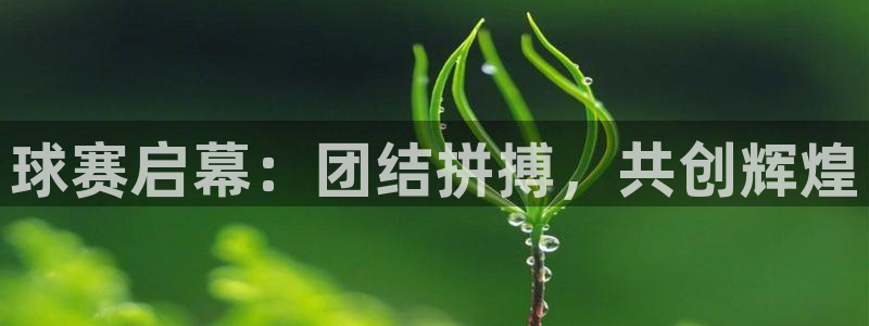  星空 体育：球赛启幕：团结拼搏，共创辉煌