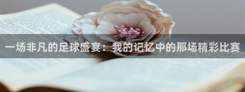 星空体育入口官网：一场非凡的足球盛宴