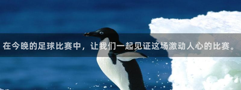 星空体育官网入口：在今晚的足球比赛中