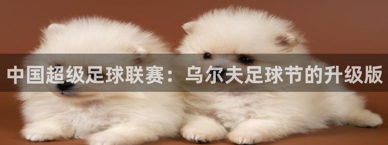  天空体育权威吗?：中国超级足球联赛：乌尔夫足球节的升级版