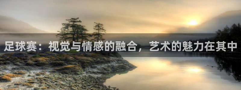  体育星空：足球赛：视觉与情感的融合，艺术的魅力在其中