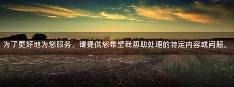 星空体育官网：为了更好地为您服务，请提供您希望我帮助处理的特