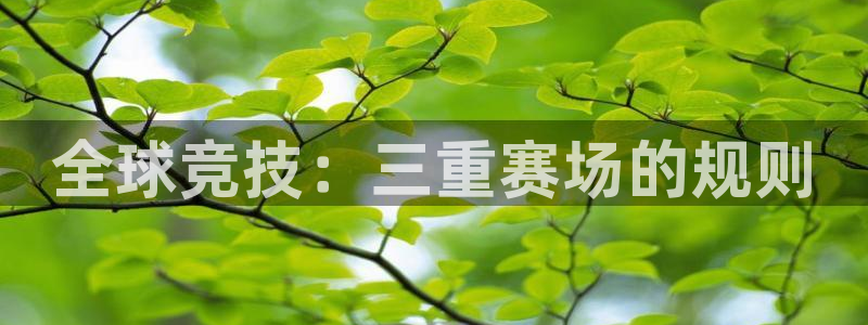 星空体育综合：全球竞技：三重赛场的规