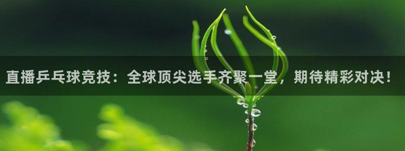  星空体育xk：直播乒乓球竞技：全球顶尖选手齐聚一堂，期待精彩