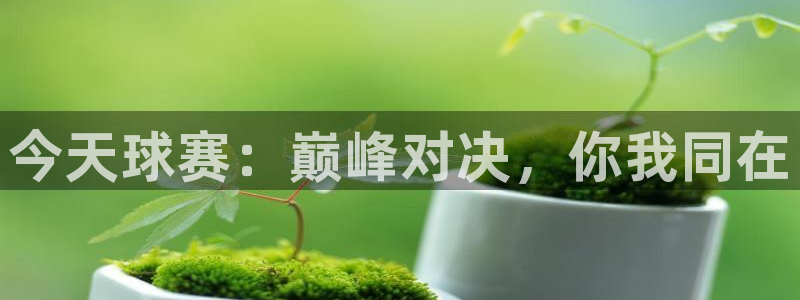 星空体育中国：今天球赛：巅峰对决，你我同在
