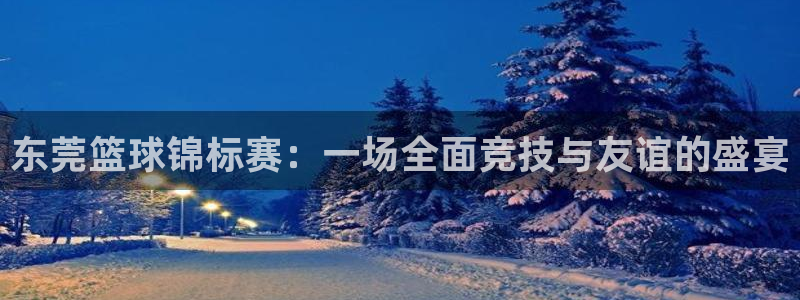 星空综合体育中国：东莞篮球锦标赛：一场全面竞技与友谊的盛宴