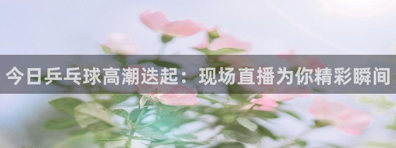 天空体育评选历史最佳：今日乒乓球高潮