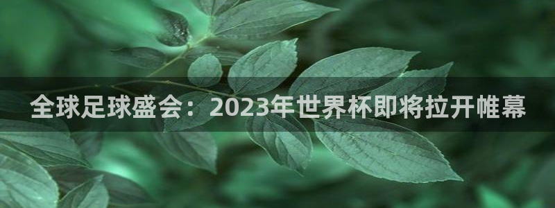 星空体育地址：全球足球盛会：2023