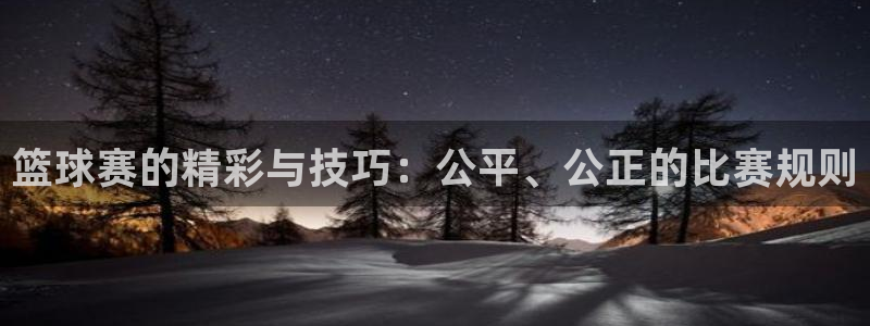 星空体育网：篮球赛的精彩与技巧：公平