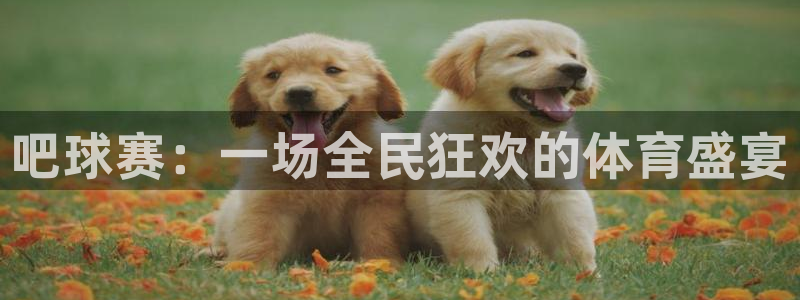 星空体育登入：吧球赛：一场全民狂欢的