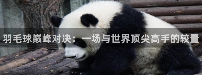 星空体育最新：羽毛球巅峰对决：一场与